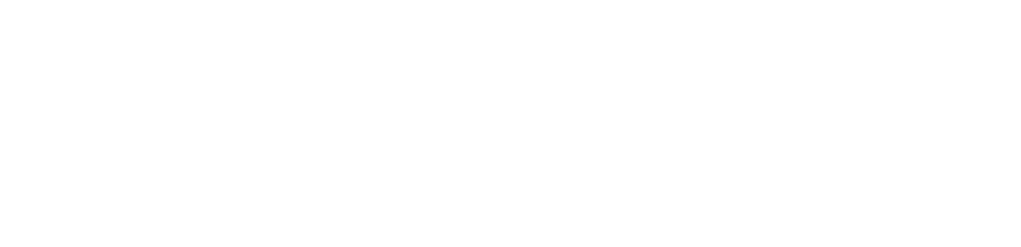 SLZR